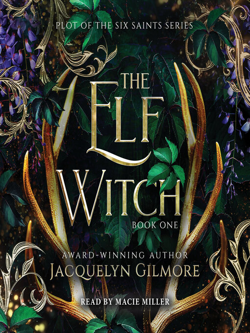 Cover image for The Elf Witch
